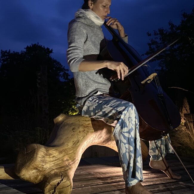 Cellokonzert im Münsterland und Ruhrgebiet