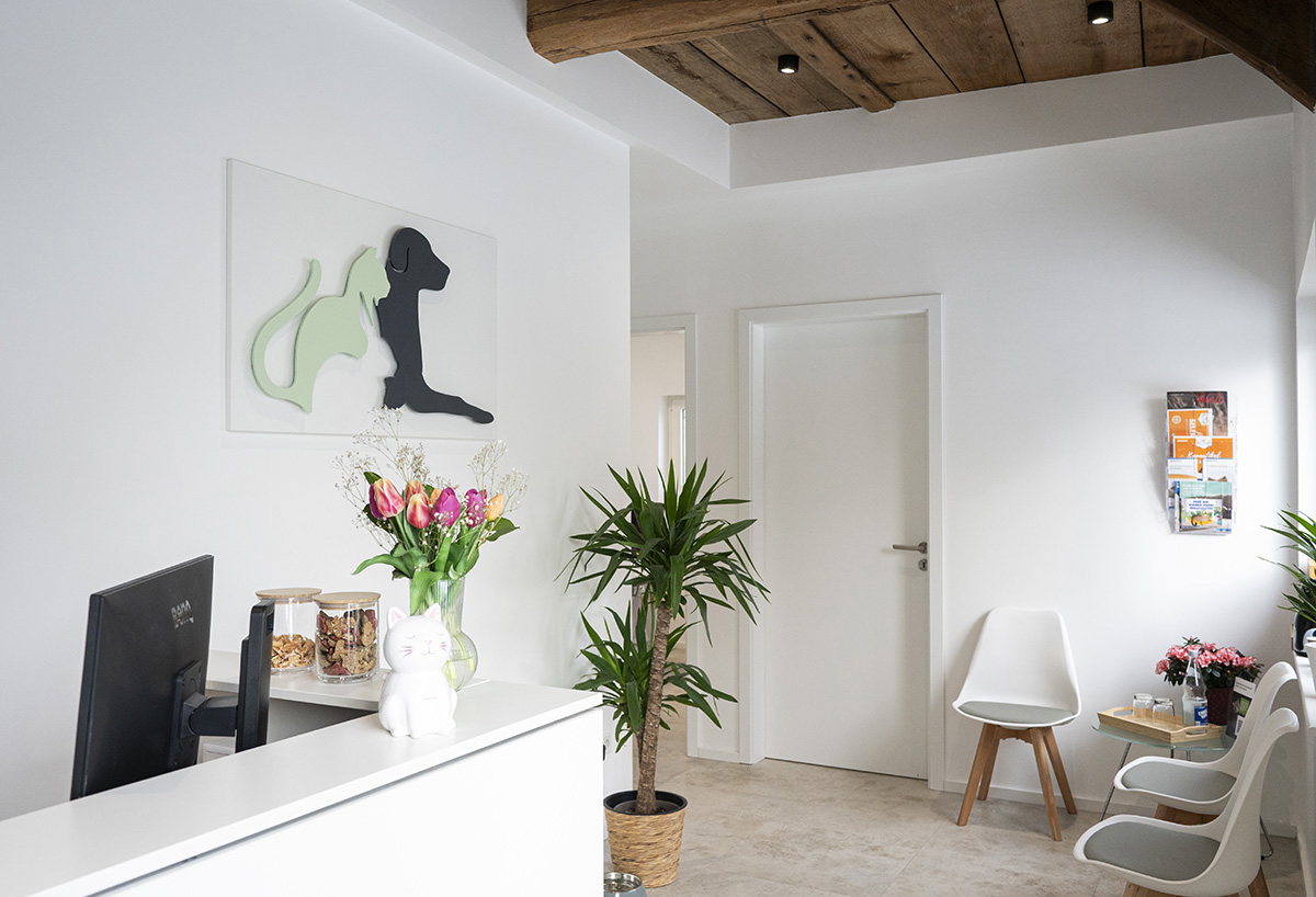 Tierarztpraxis_Empfang