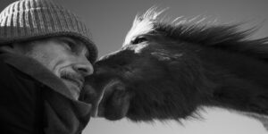 Verbindung spüren zwischen Mensch und Pferd