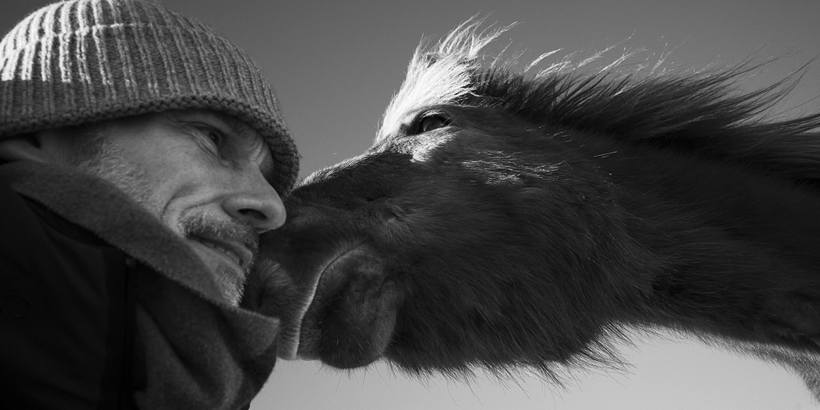Verbindung spüren zwischen Mensch und Pferd