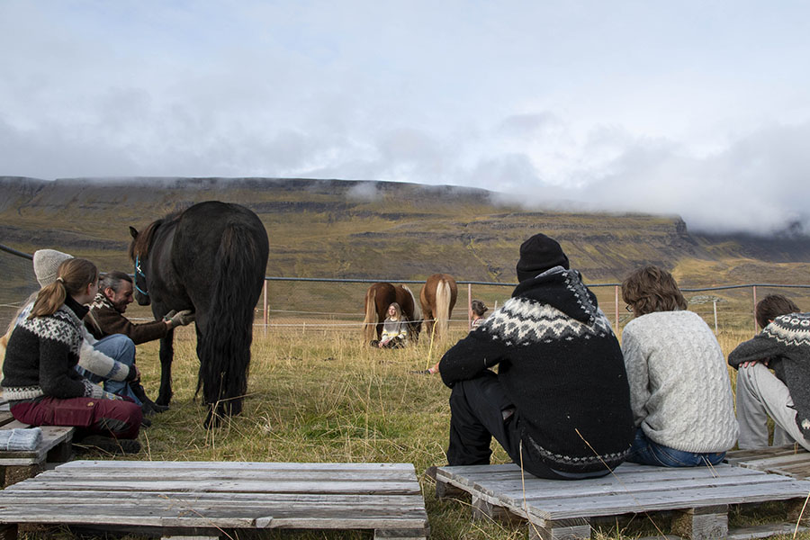 connect_with_horses