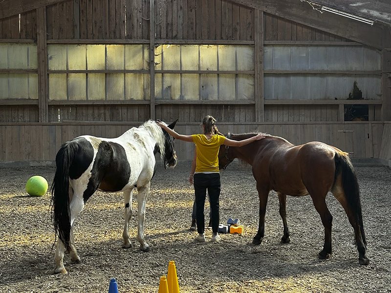 Team_Teambuilding_Gruppen_Gemeinschaft